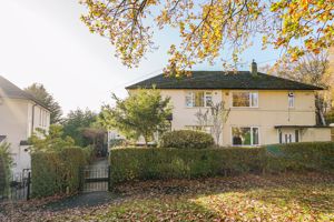 Photo 36- click for photo gallery